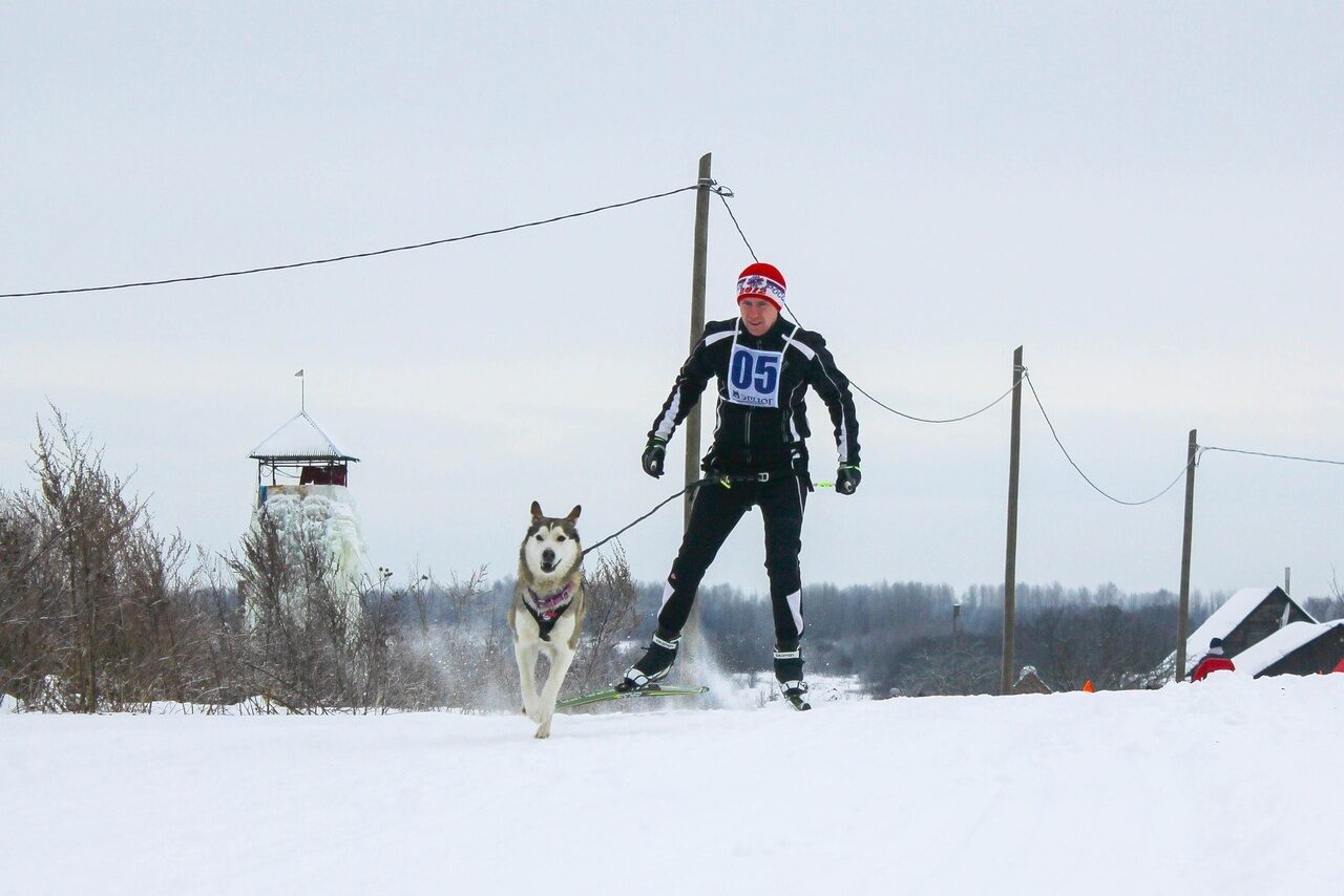 Спортивные достижения